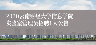 2020云南财经大学信息学院实验室管理员招聘1人公告