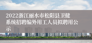 2022浙江丽水市松阳县卫健系统招聘编外用工人员拟聘用公示