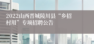 2022山西晋城陵川县“乡招村用”专项招聘公告