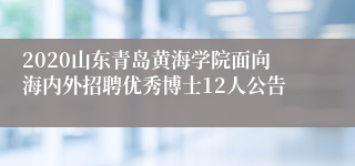 2020山东青岛黄海学院面向海内外招聘优秀博士12人公告