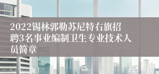 2022锡林郭勒苏尼特右旗招聘3名事业编制卫生专业技术人员简章