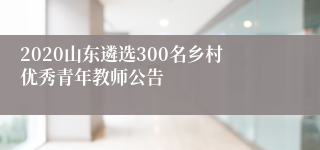 2020山东遴选300名乡村优秀青年教师公告