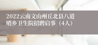 2022云南文山州丘北县八道哨乡卫生院招聘启事（4人）