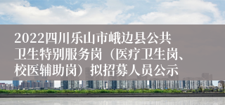 2022四川乐山市峨边县公共卫生特别服务岗（医疗卫生岗、校医辅助岗）拟招募人员公示