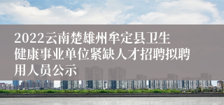 2022云南楚雄州牟定县卫生健康事业单位紧缺人才招聘拟聘用人员公示