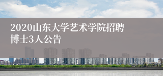 2020山东大学艺术学院招聘博士3人公告