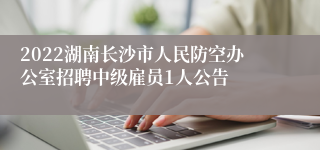 2022湖南长沙市人民防空办公室招聘中级雇员1人公告