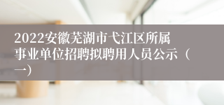 2022安徽芜湖市弋江区所属事业单位招聘拟聘用人员公示（一）