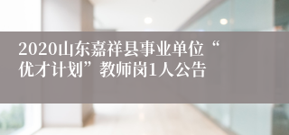 2020山东嘉祥县事业单位“优才计划”教师岗1人公告