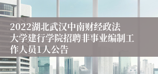 2022湖北武汉中南财经政法大学建行学院招聘非事业编制工作人员1人公告