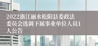 2022浙江丽水松阳县委政法委员会选调下属事业单位人员1人公告