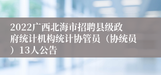 2022广西北海市招聘县级政府统计机构统计协管员（协统员）13人公告