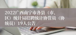 2022广西南宁市各县（市、区）统计局招聘统计协管员（协统员）19人公告