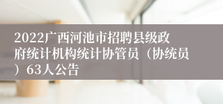 2022广西河池市招聘县级政府统计机构统计协管员（协统员）63人公告