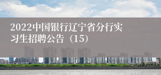 2022中国银行辽宁省分行实习生招聘公告（15）