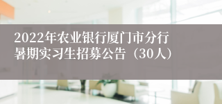 2022年农业银行厦门市分行暑期实习生招募公告（30人）