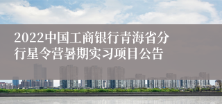 2022中国工商银行青海省分行星令营暑期实习项目公告