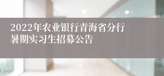 2022年农业银行青海省分行暑期实习生招募公告