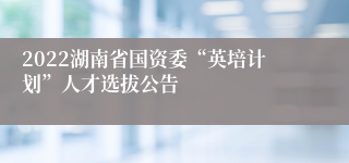 2022湖南省国资委“英培计划”人才选拔公告