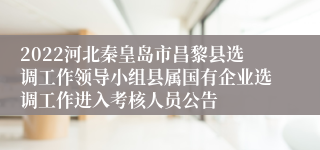 2022河北秦皇岛市昌黎县选调工作领导小组县属国有企业选调工作进入考核人员公告