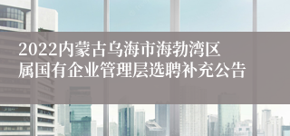 2022内蒙古乌海市海勃湾区属国有企业管理层选聘补充公告