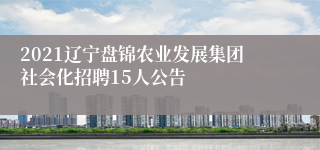 2021辽宁盘锦农业发展集团社会化招聘15人公告