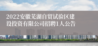 2022安徽芜湖自贸试验区建设投资有限公司招聘1人公告