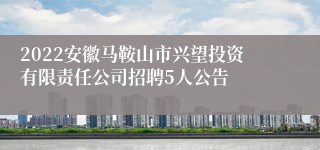 2022安徽马鞍山市兴望投资有限责任公司招聘5人公告