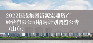 2022国投集团沂源宏鼎资产经营有限公司招聘计划调整公告（山东）
