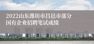 2022山东潍坊市昌邑市部分国有企业招聘笔试成绩