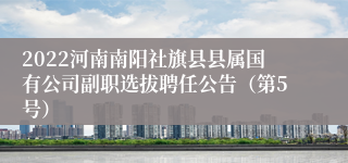 2022河南南阳社旗县县属国有公司副职选拔聘任公告（第5号）