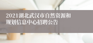 2021湖北武汉市自然资源和规划信息中心招聘公告