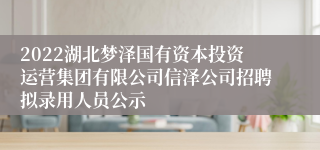 2022湖北梦泽国有资本投资运营集团有限公司信泽公司招聘拟录用人员公示