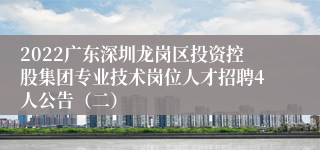 2022广东深圳龙岗区投资控股集团专业技术岗位人才招聘4人公告（二）