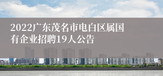 2022广东茂名市电白区属国有企业招聘19人公告