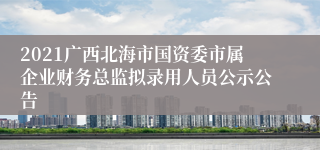 2021广西北海市国资委市属企业财务总监拟录用人员公示公告