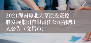 2021海南琼北大草原投资控股发展集团有限责任公司招聘3人公告（文昌市）