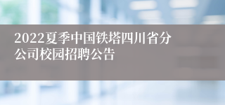 2022夏季中国铁塔四川省分公司校园招聘公告