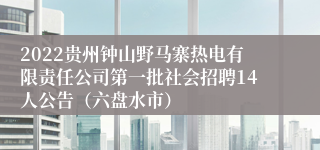 2022贵州钟山野马寨热电有限责任公司第一批社会招聘14人公告（六盘水市）