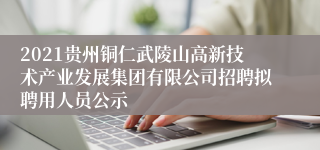 2021贵州铜仁武陵山高新技术产业发展集团有限公司招聘拟聘用人员公示
