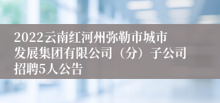 2022云南红河州弥勒市城市发展集团有限公司（分）子公司招聘5人公告