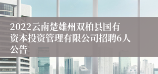 2022云南楚雄州双柏县国有资本投资管理有限公司招聘6人公告