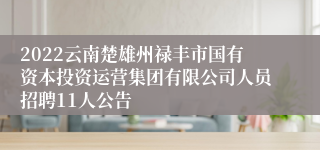 2022云南楚雄州禄丰市国有资本投资运营集团有限公司人员招聘11人公告