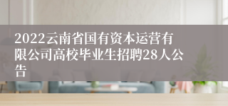 2022云南省国有资本运营有限公司高校毕业生招聘28人公告