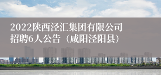 2022陕西泾汇集团有限公司招聘6人公告（咸阳泾阳县）