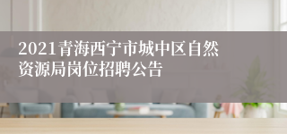 2021青海西宁市城中区自然资源局岗位招聘公告