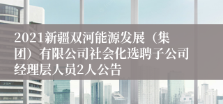 2021新疆双河能源发展（集团）有限公司社会化选聘子公司经理层人员2人公告