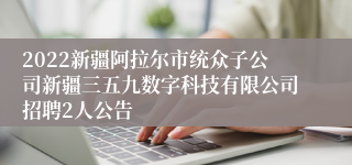 2022新疆阿拉尔市统众子公司新疆三五九数字科技有限公司招聘2人公告
