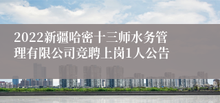 2022新疆哈密十三师水务管理有限公司竞聘上岗1人公告