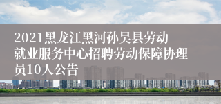 2021黑龙江黑河孙吴县劳动就业服务中心招聘劳动保障协理员10人公告